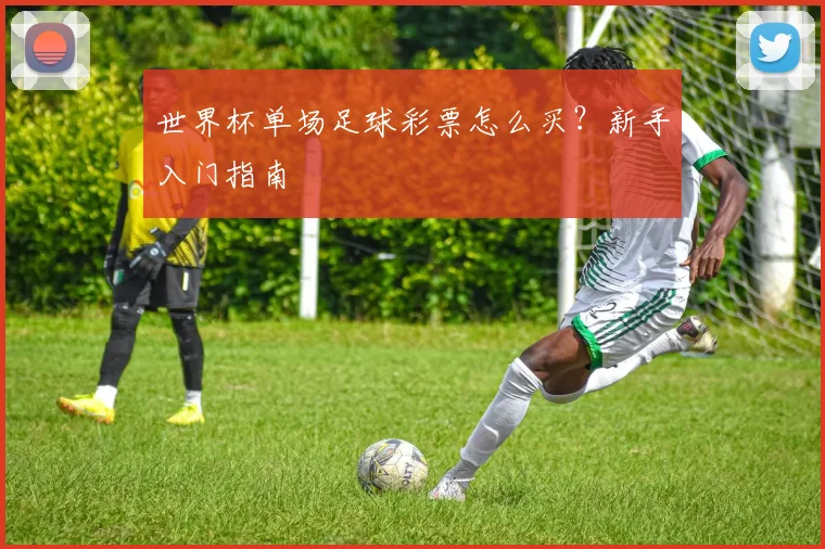 世界杯单场足球彩票怎么买？新手入门指南
