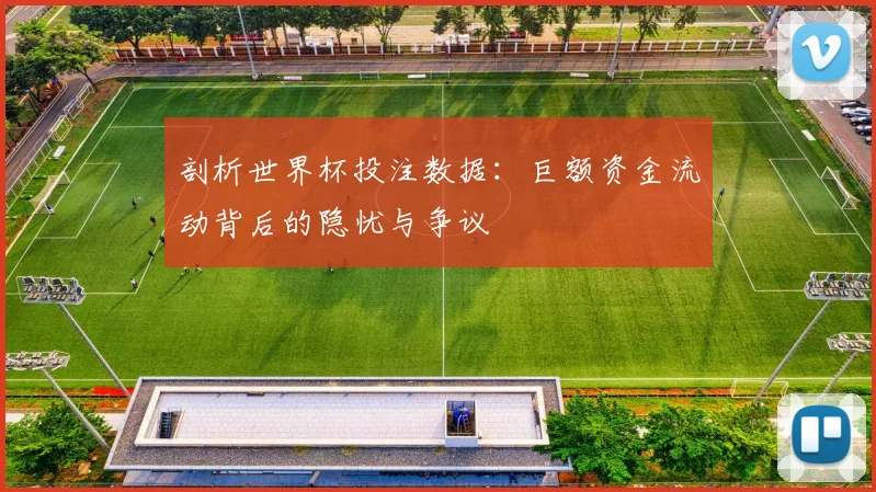 剖析世界杯投注数据：巨额资金流动背后的隐忧与争议