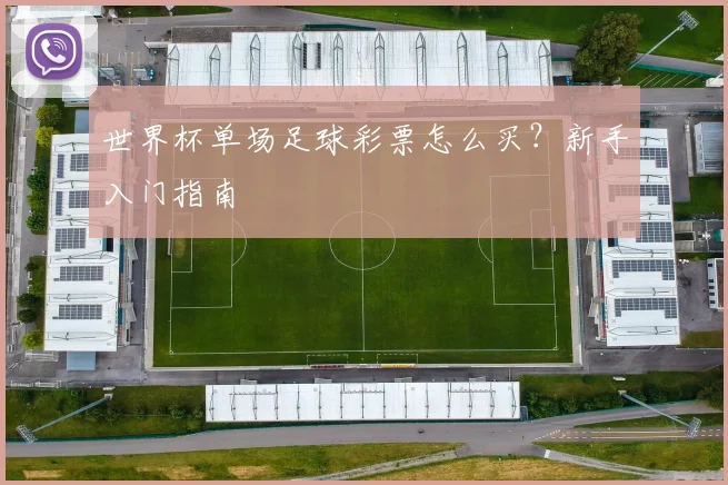 世界杯单场足球彩票怎么买？新手入门指南