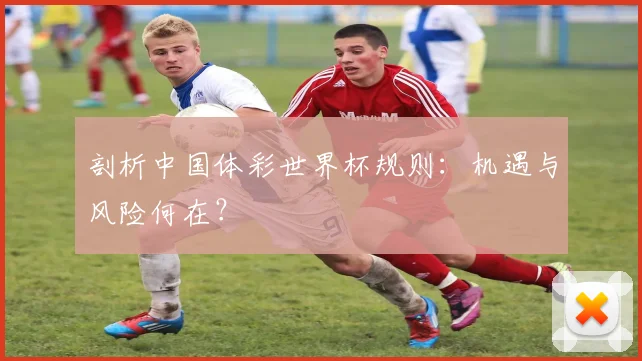 剖析中国体彩世界杯规则：机遇与风险何在？
