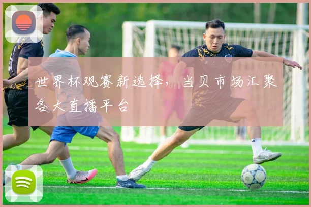 世界杯观赛新选择，当贝市场汇聚各大直播平台