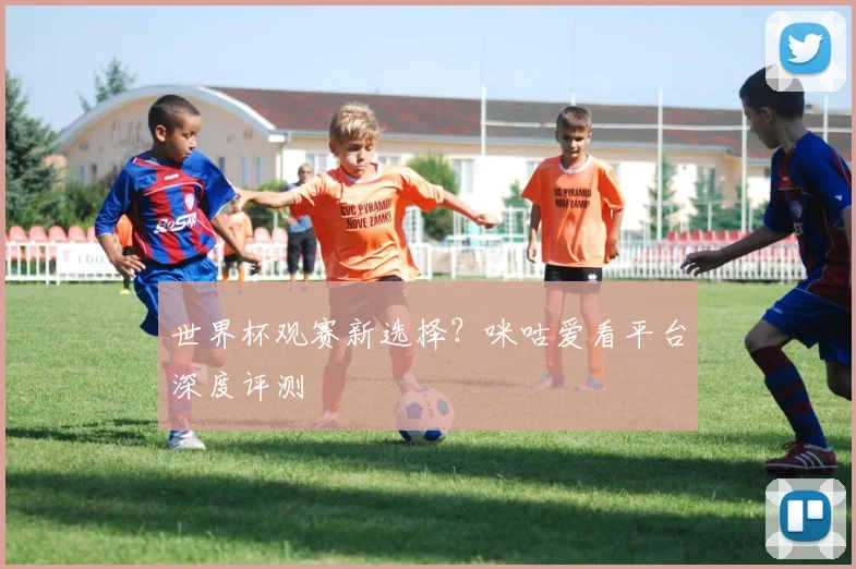 世界杯观赛新选择？咪咕爱看平台深度评测